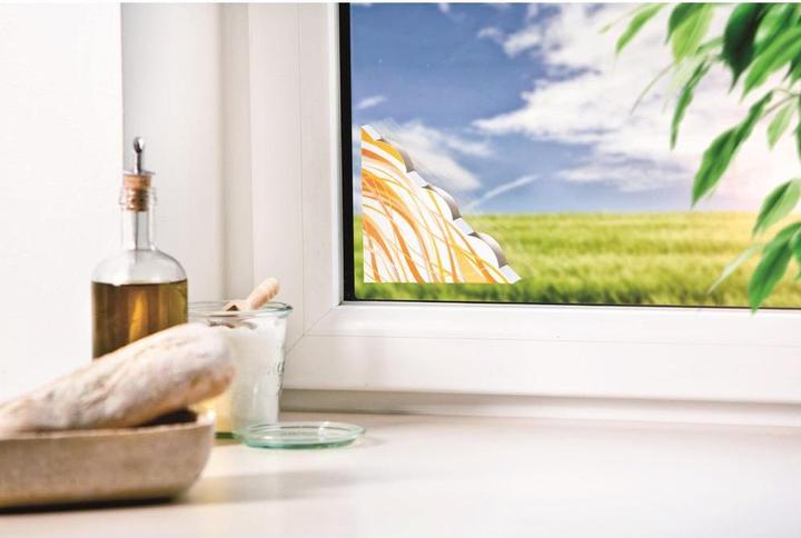 Actual product image Windhager Window flytrap Discreet 2 pcs.