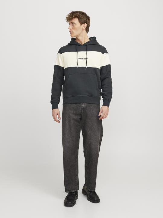 Actual product image Jack & Jones Jorvesterbro Block Sweat Hood Styd Aw24 (S)
