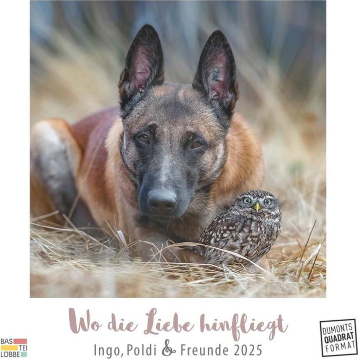 Image du produit Là où l'amour vole 2025 - Ingo, Poldi et leurs amis - Calendrier mural avec reliure spirale - (23 x 23 cm)