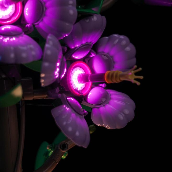 Image du produit BrickBling LED Licht Set für LEGO Hibiskus (10372)