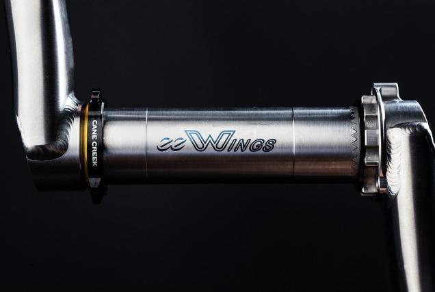 Actual product image Cane Creek eeWings (172.50 mm)