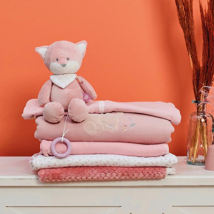 Image du produit Nattou Alice & Pomme Grande Alice le renard