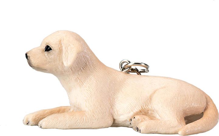 Actual product image Labrador
