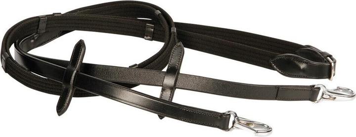 Image du produit Harry's Horse Rênes sangles pour cheval clip-on