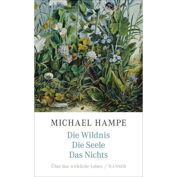 Die Wildnis, die Seele, das Nichts, Sachbücher von Michael Hampe
