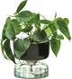 Image du produit LSA Canopy selbstbewässernder Topf H13cm - recy. Optik (1 x)