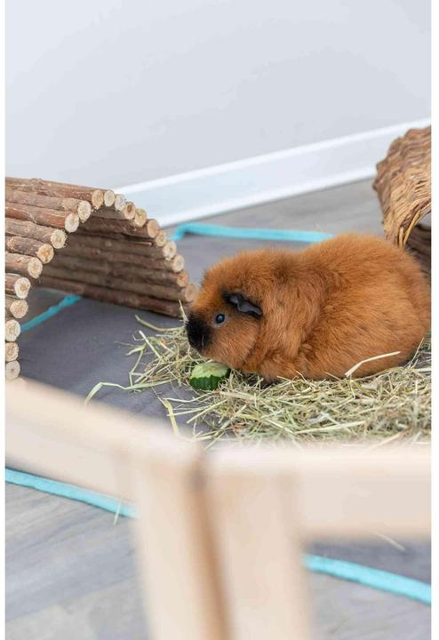 Actual product image Trixie Outdoor enclosure