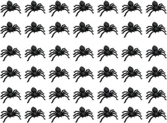 Actual product image MU Style Plastic spiders (50 pcs.) (1 pcs.)