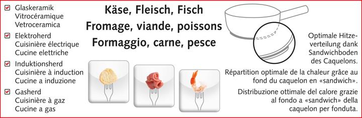 Actual product image Koenig Fondue Caquelon One for all