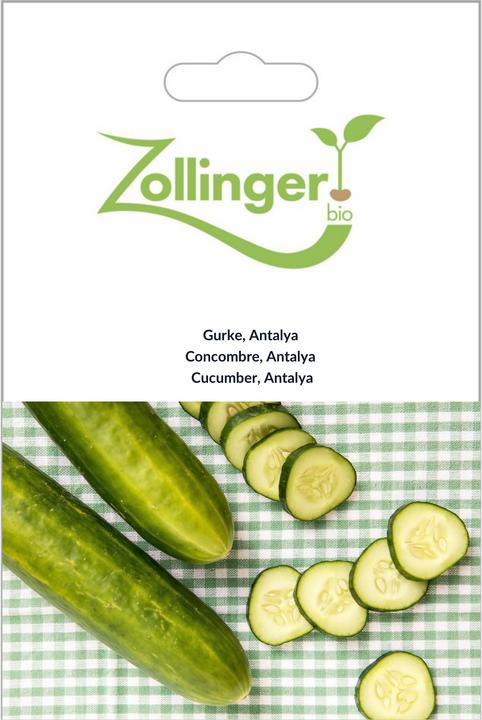 Image du produit Zollinger Bio Concombre, Antalya (Graines de légumes)