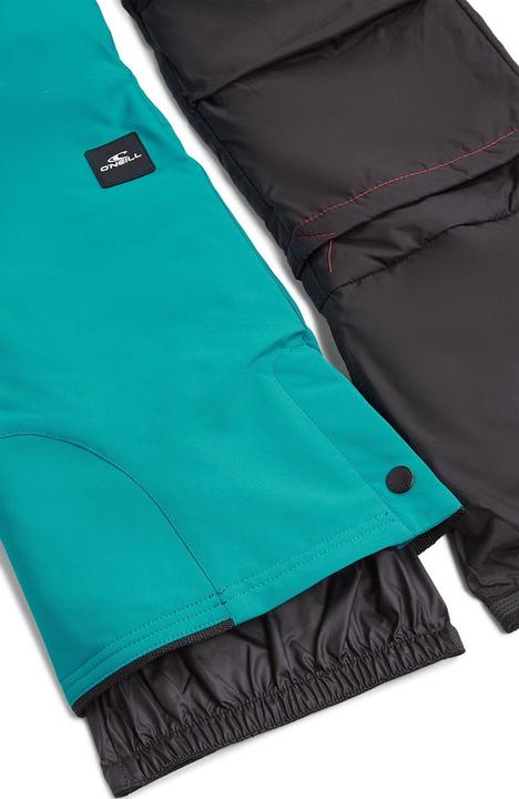 Actual product image O'Neill FWC'Cruz SNOW PANTS (152)