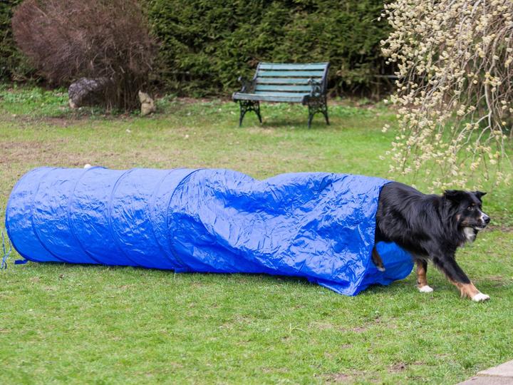 Petcenter Tunnel de sac 300cm x 60cm (Jouet d'occupation chien)