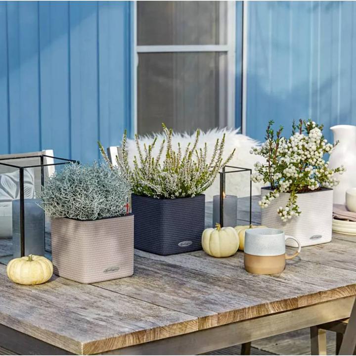 Image du produit Lechuza Couleur du cube (14 x 14 x 13.50 cm)