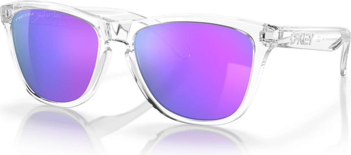 Immagine prodotto Oakley Frogskins