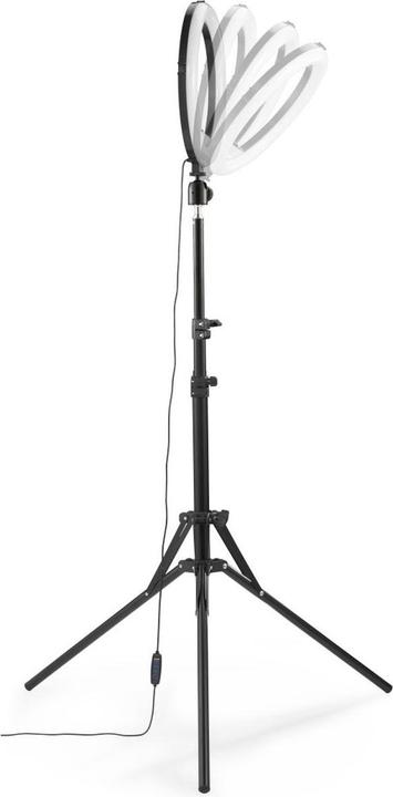 Actual product image Hama SpotLight Steady 120 III (Ring light)