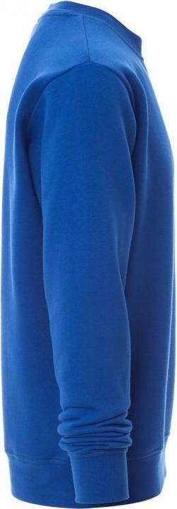 Actual product image Payper New Orleans crew neck sweatshirt (L)