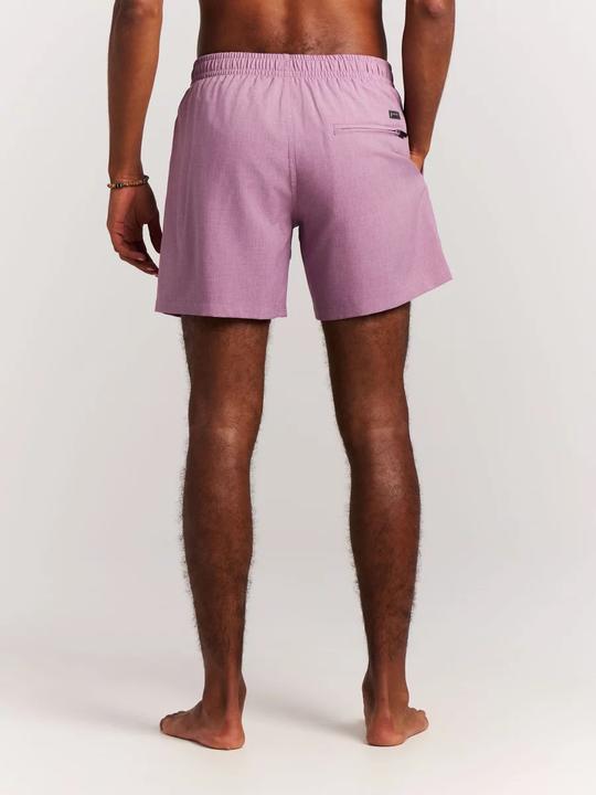Image du produit Protest Daviey Beachshort (M)