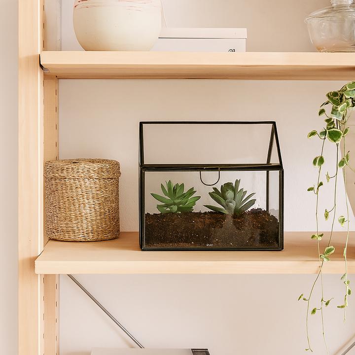 Produktbild Relaxdays Pflanzenterrarium aus Glas Hausform