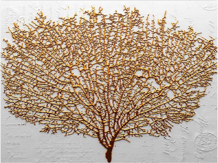 Wallxpert Emely (70 x 100 cm)