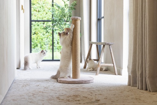 Actual product image Designed by Lotte Scratching post (70 cm, Rose)