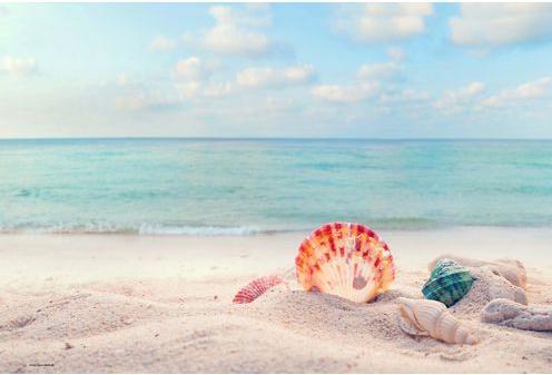 Actual product image CoverYourDesk Dream beach (40 x 60 cm)