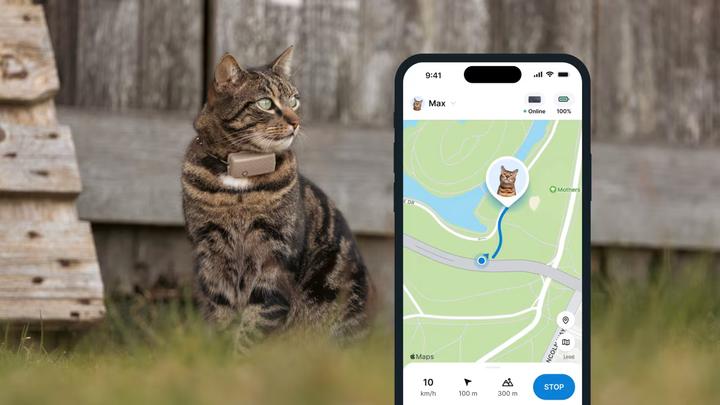 Produktbild Tractive GPS Mini (One Size, Katze, Allgemein)