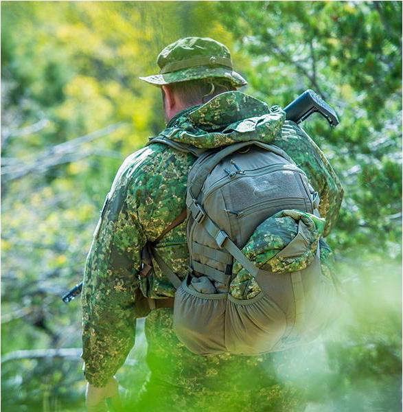 Image du produit Helikon Sac à dos Raider (20 l)