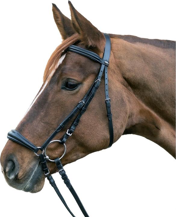 Waldhausen Hannover Trensenzaum