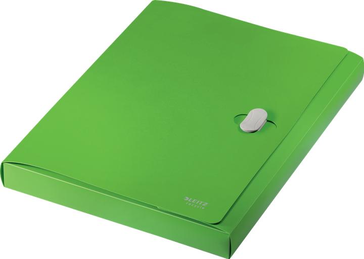 Actual product image Leitz Document Folder Recycle A4 Green (A4, 1x)