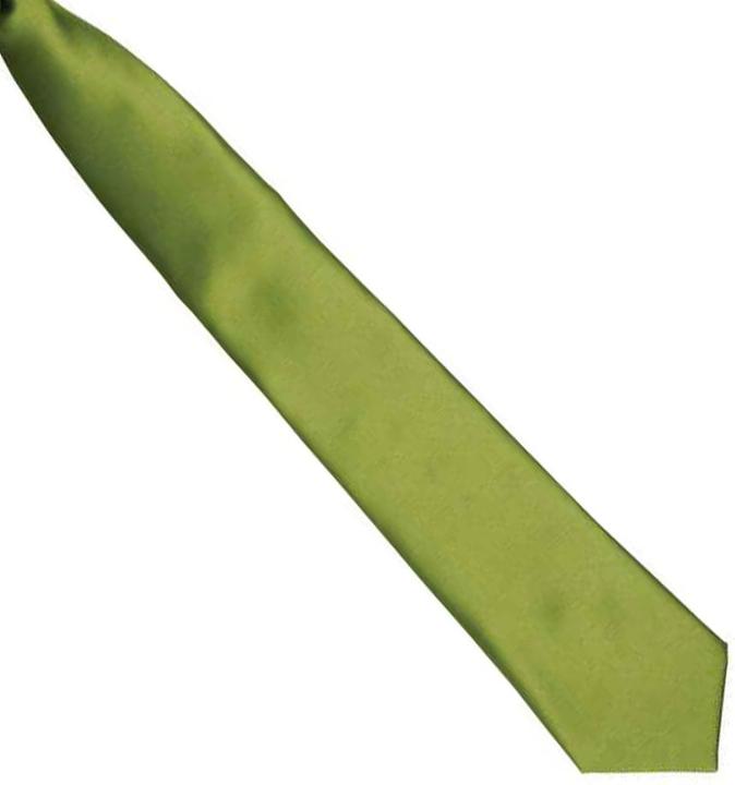 Image du produit Premier Cravate en satin à clipser