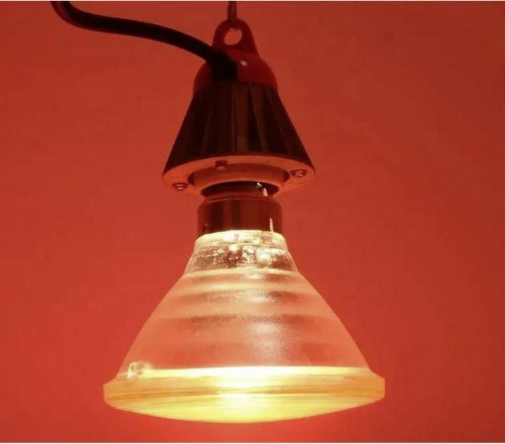 Actual product image Sygonix Infrared lamp (150 W)