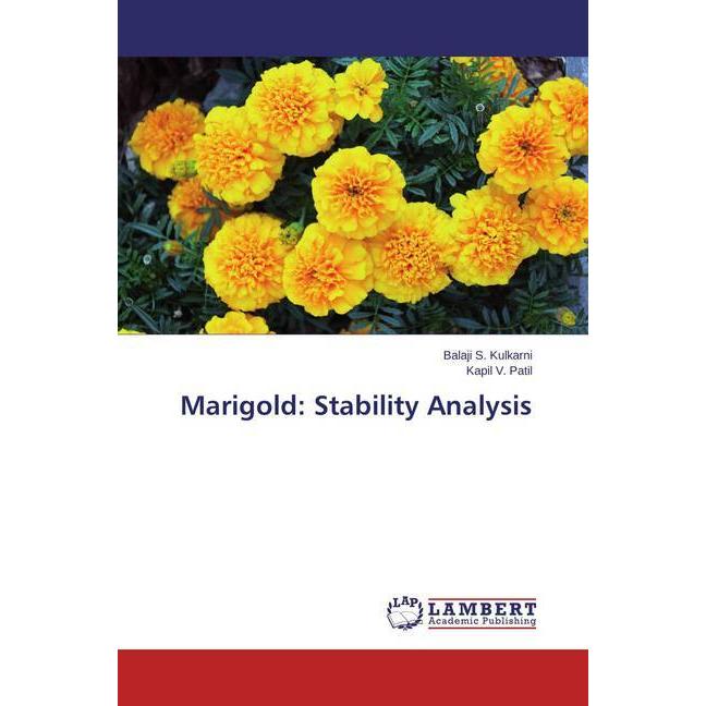 Marigold: Stability Analysis, Fachbücher von Kapil V. Patil, Balaji S. Kulkarni
