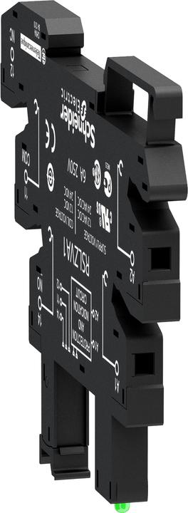 Actual product image Schneider Electric Screw socket 12/24 AC/DC (relay) (Relay socket)