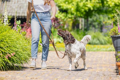 Actual product image Beeztees Bz Balacron Barf Bag Dispenser O (Dog)