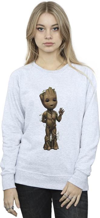 Actual product image Womens/Ladies I Am Groot Wave Pose Sweatshirt (S)