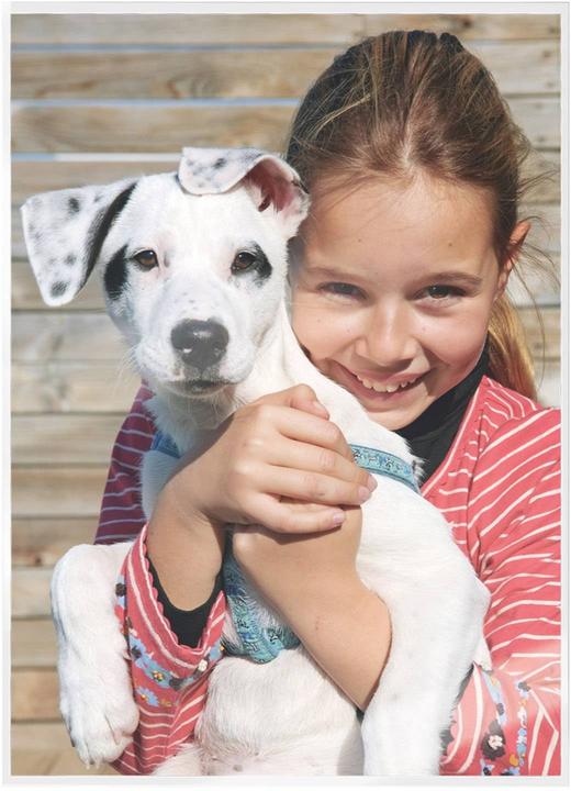 Actual product image Leitz Laminating foil (A5, 100 Piece, 80 µm)