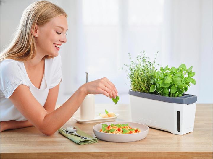 Actual product image Gusta Garden Kräutertopf HARRY HERBS mit Haube, Weiss (36.50 x 15 x 25 cm)