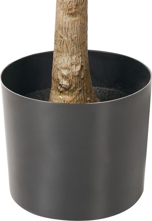 Immagine prodotto Beliani Ginkgo Tree (150 cm)