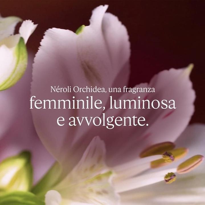 Produktbild L'Occitane Duftende Creme mit Neroli und Orchidee (75 ml)