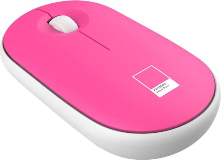 Actual product image Pantone Bundle aus Pfirsichhülse und Maus (15.60", Universal)