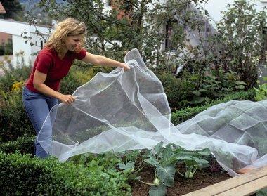 Produktbild Neudorff Schädlingsschutznetz