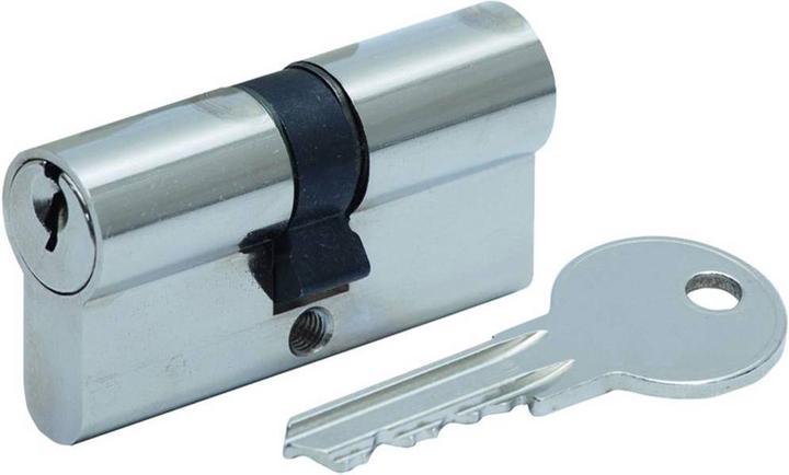 Actual product image BASI ProfileDouble cylinder (Profile double cylinder)