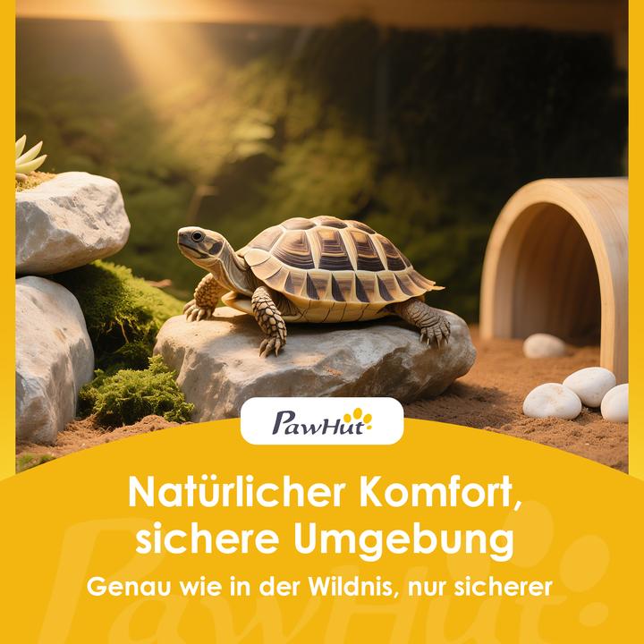 Immagine prodotto PawHut Schildkrötenhaus Tannenholz Blau