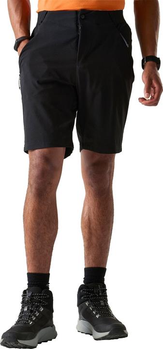 Produktbild Dare2b Torrek Lite Shorts (42)