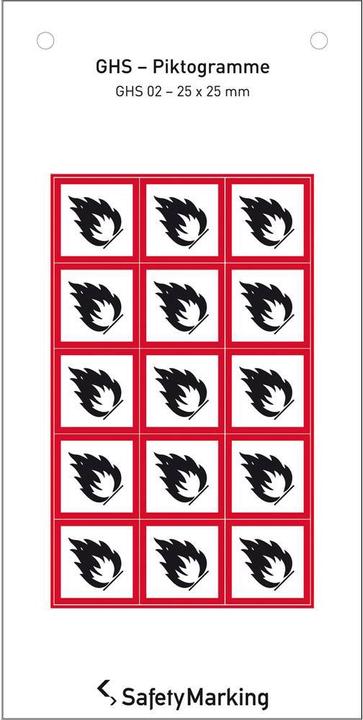 Image du produit SafetyMarking Pictogramme de danger SGH Symbole 02 Flamme 2.