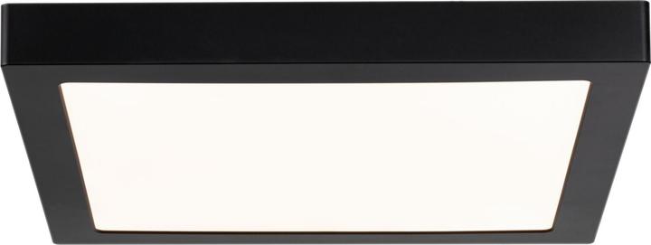 Actual product image Paulmann Abia (3200 lm)