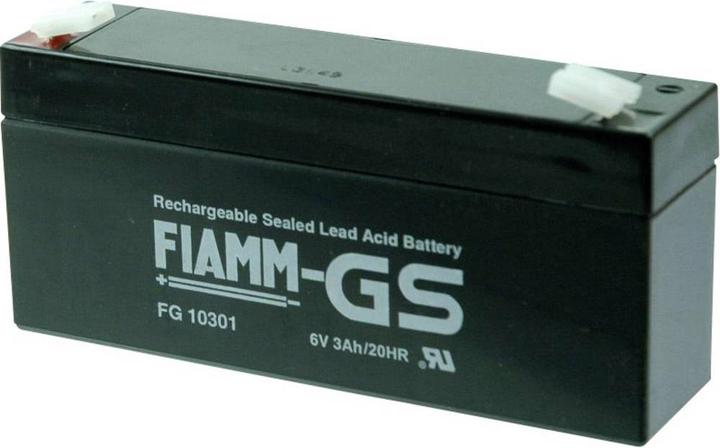 Actual product image Fiamm FG10301 (Device specific, 3000 mAh)