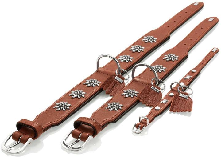 Actual product image Hunter Collar Munich Mini 30/XS, cowhide, cognac/black (XS, Dog, General)