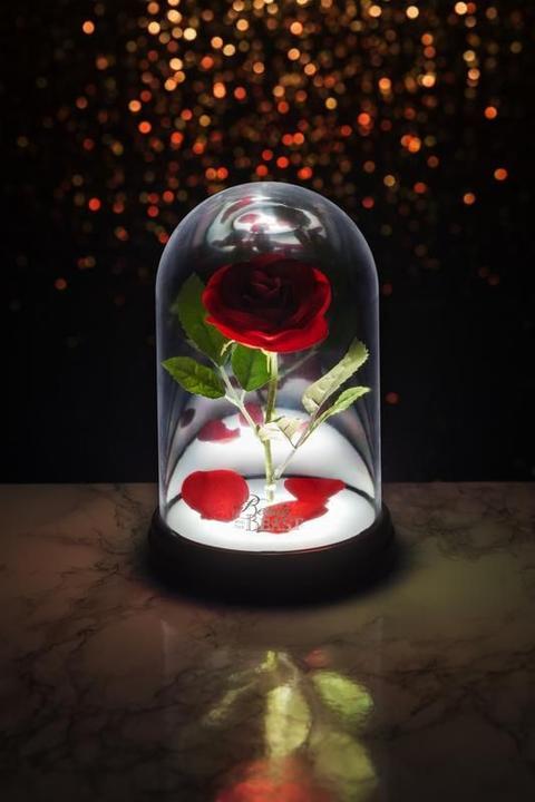 Immagine prodotto Paladone Products Rosa incantata