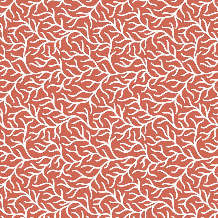 Immagine prodotto Clairefontaine Rotoli di carta da regalo Excellia (Carta da regalo)